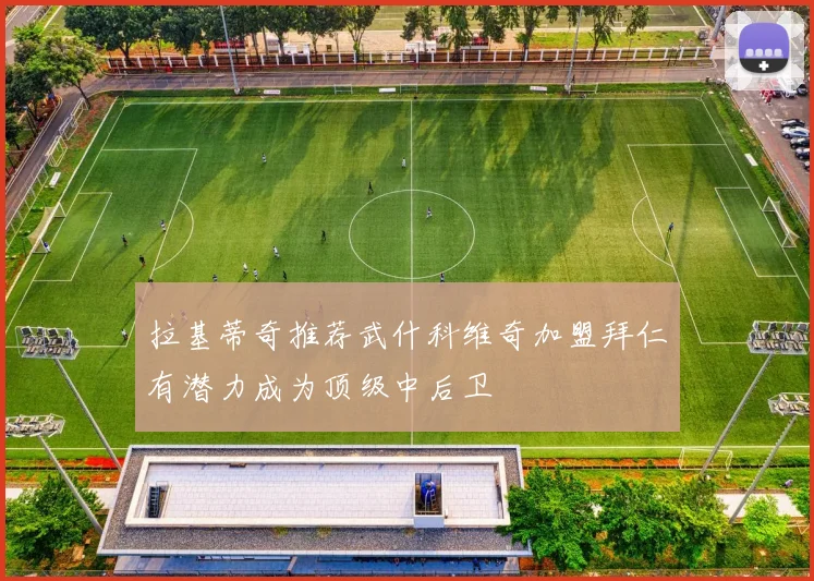 拉基蒂奇推荐武什科维奇加盟拜仁有潜力成为顶级中后卫