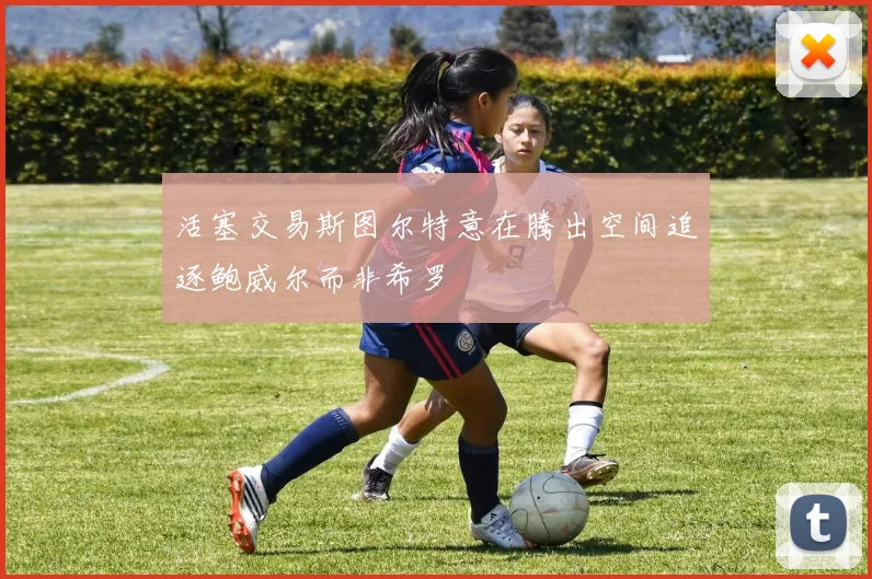 活塞交易斯图尔特意在腾出空间追逐鲍威尔而非希罗